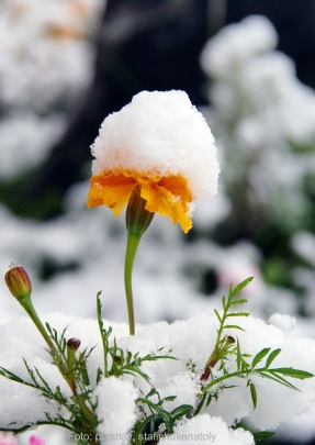 Dunkle Jahreszeit – Zeit für den Winterblues?